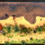 bounty-day-lq72-horizontal.jpg